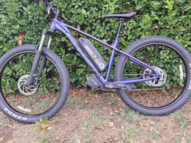 Hardtail viola cangiante