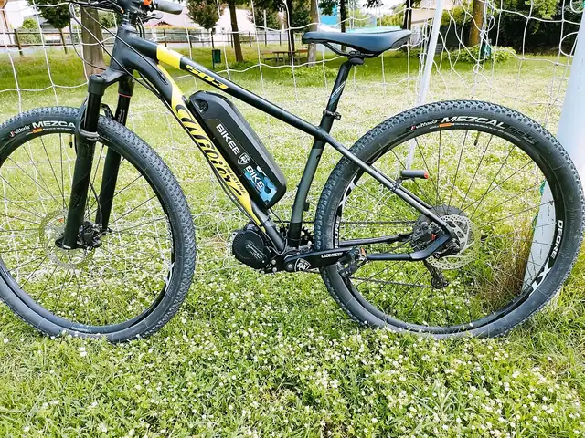 Wilier hardtail · nera