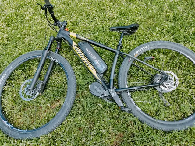 Wilier hardtail · grigia